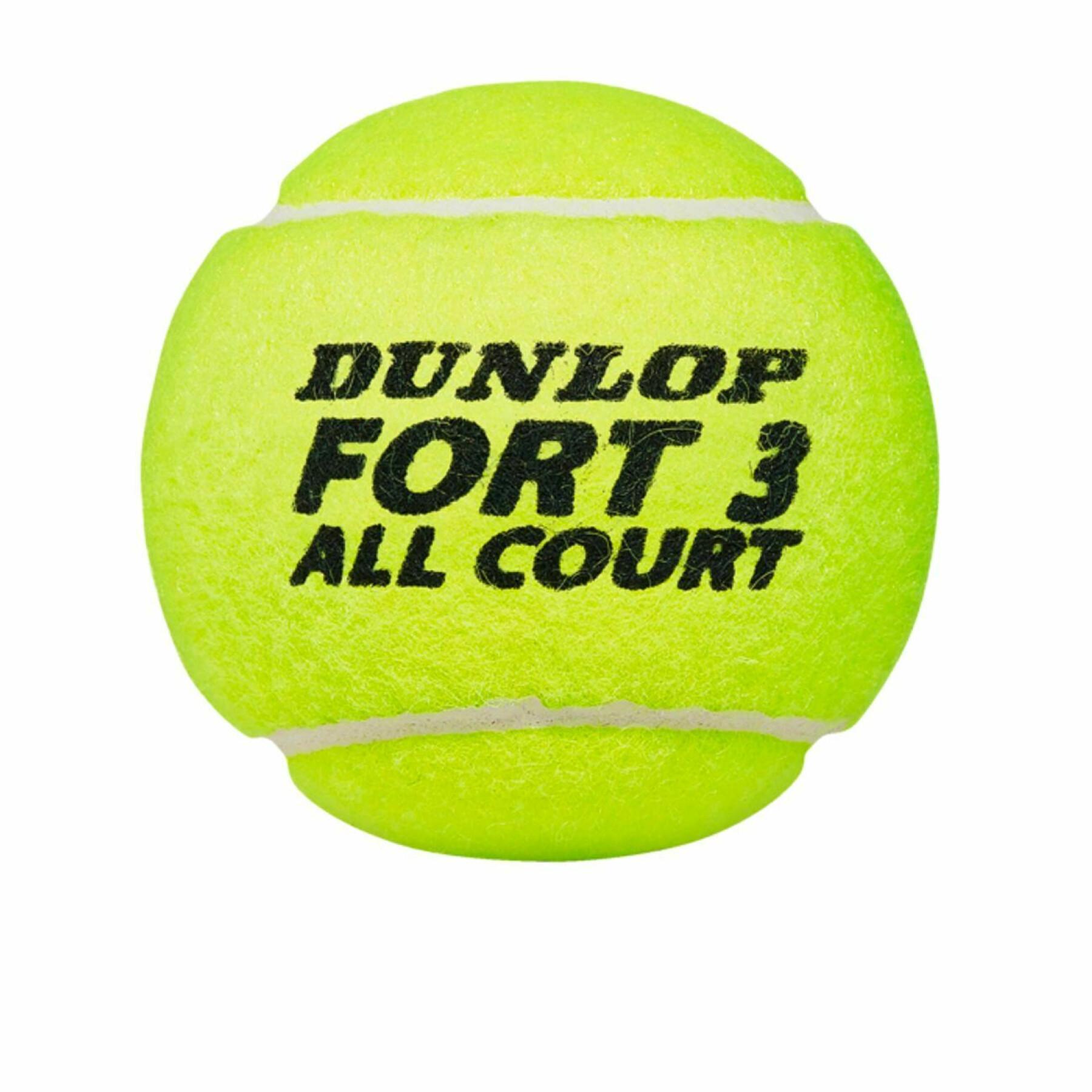 Palle da tennis Dunlop Fort all court ts 4tin