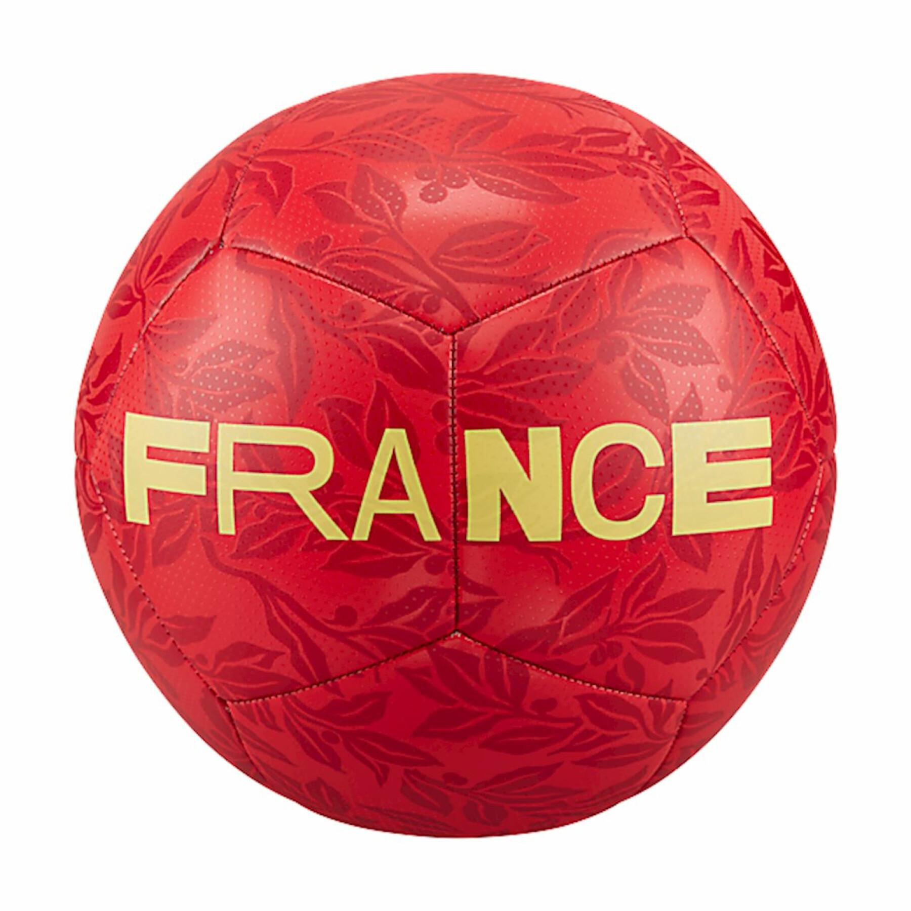 Pallone da calcio France Pitch 2022/23