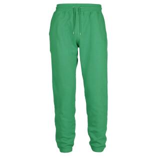Pantaloni sportivi Colorful Standard Classic Organic kelly green