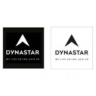 Adesivi Dynastar L10 corporate