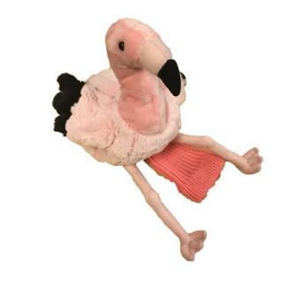 Copertura del club Pink flamingo Lascar