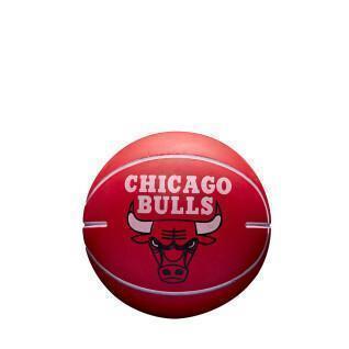 Palla che rimbalza nba dribbling Chicago Bulls