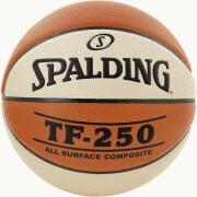 Basket Spalding TF250 indoor/outdoor