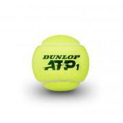 Palle da tennis Dunlop ATP 4tin
