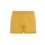 Pantaloncini da donna Colorful Standard Organic burned yellow