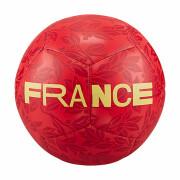 Pallone da calcio France Pitch 2022/23