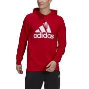 Felpa con cappuccio Adidas Essentials Big Logo