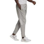 Pantaloni da donna adidas Essentials Colorblock Block Cut 3-Stripes Regular Tapered